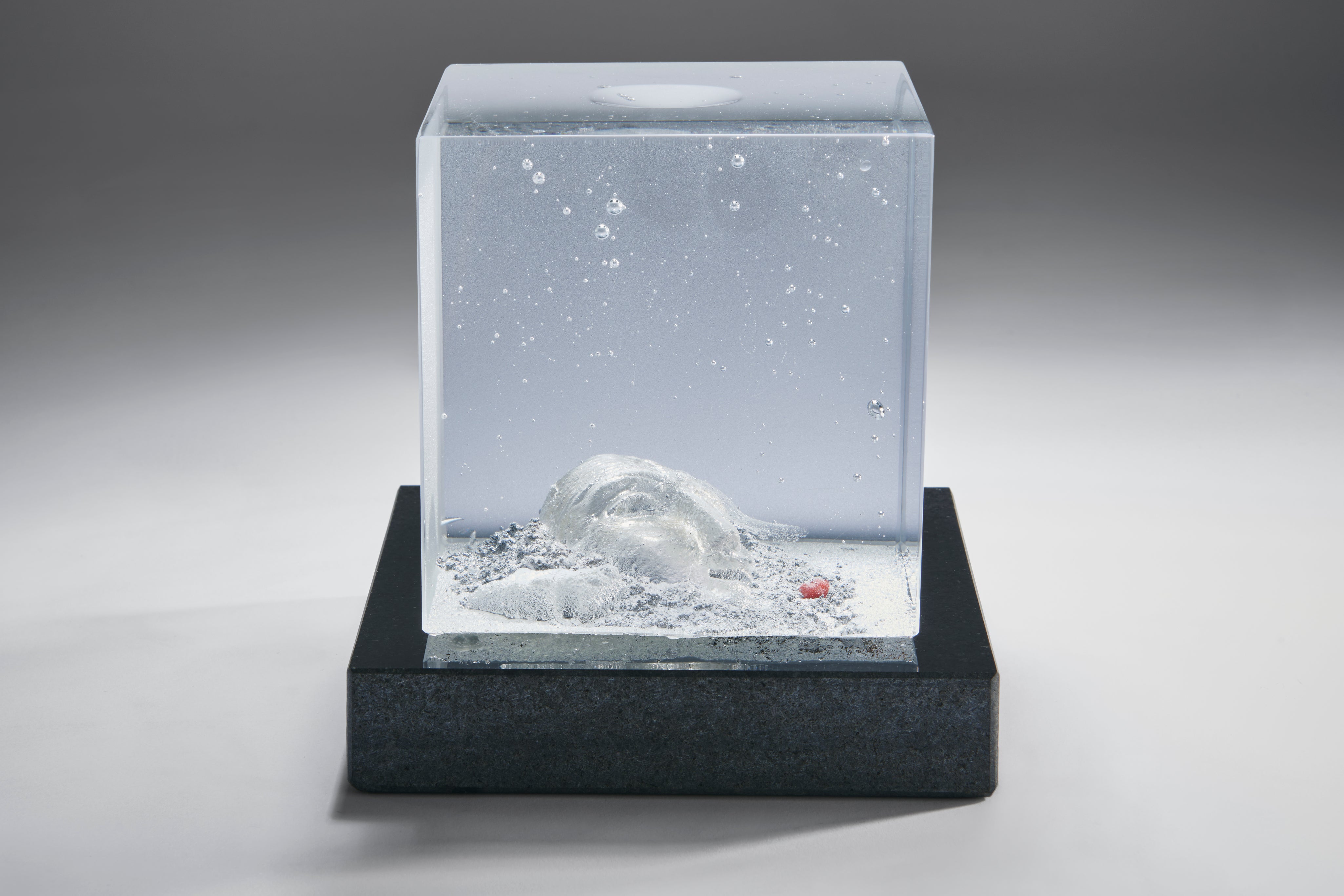 Bertil Vallien - Under Surface II