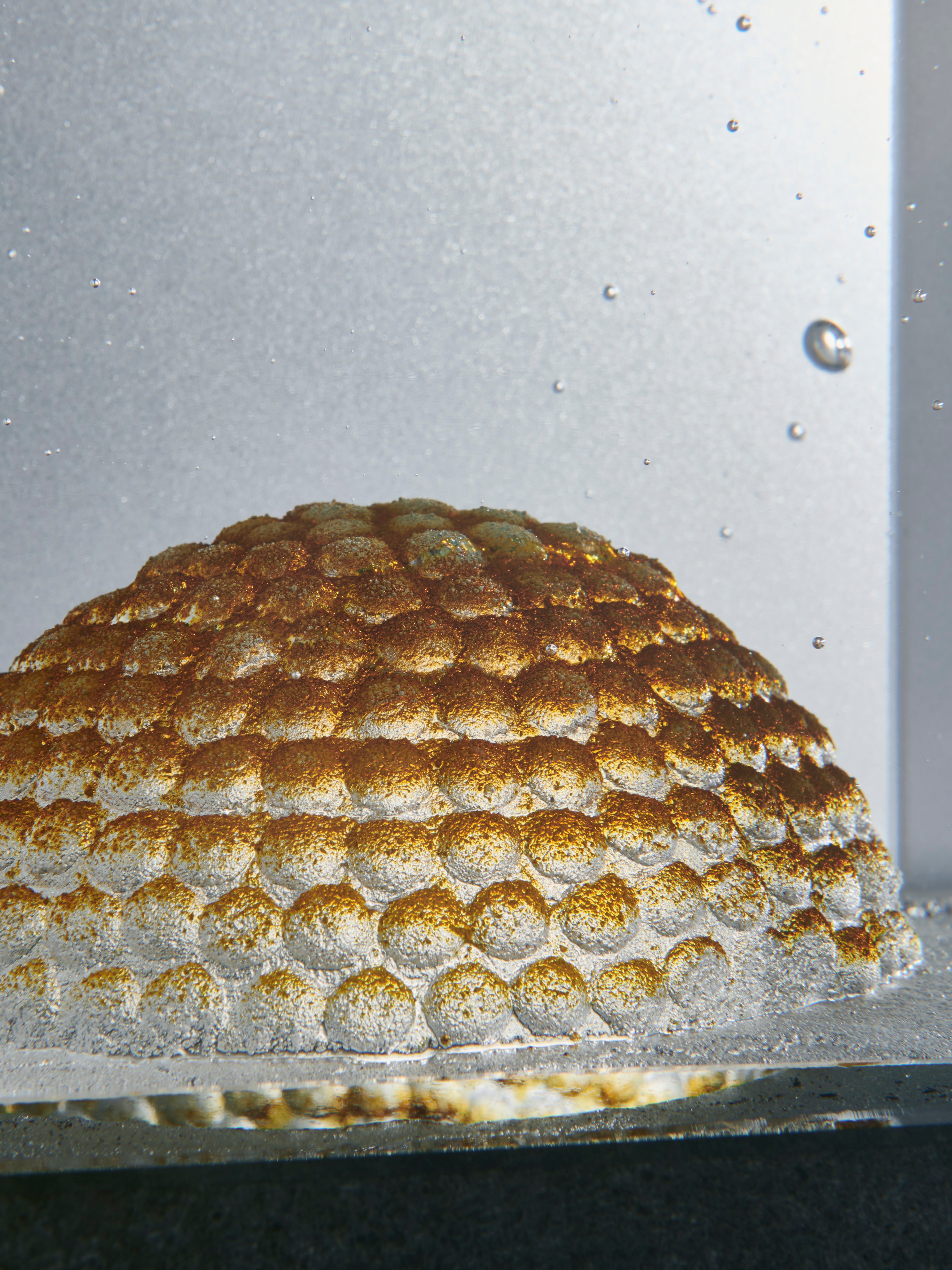 Bertil Vallien - Dome