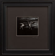 Urban Malm - A Meeting Swarowski