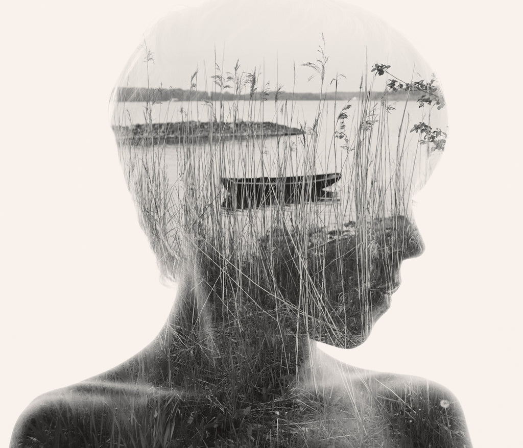 Christoffer Relander - Adrift in the Reeds