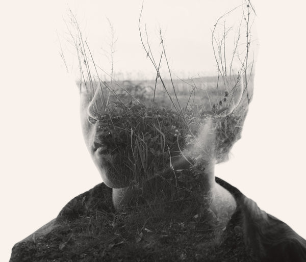 Christoffer Relander - Beneath the Mist small