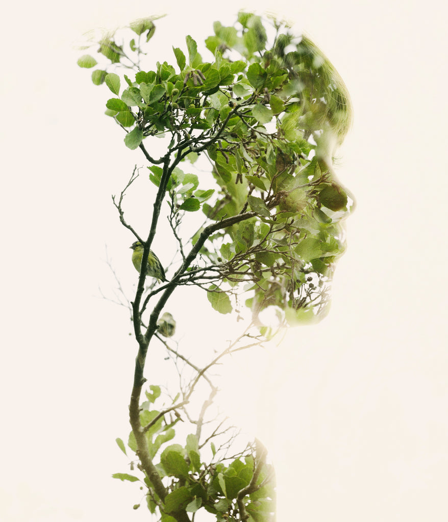 Christoffer Relander - Bird Watcher