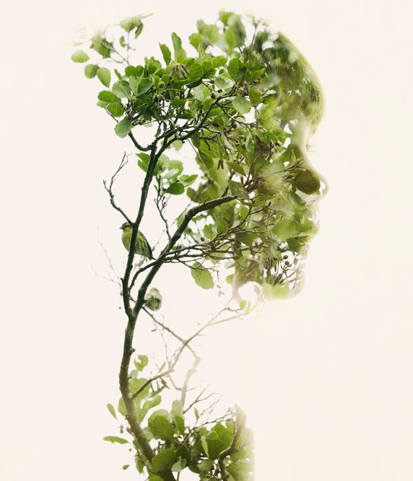 Christoffer Relander - Bird Watcher small 