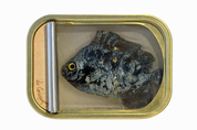 Ortaire de Coupigny - Gems of The Ocean XV