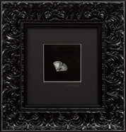 Urban Malm - Gold Butterfly