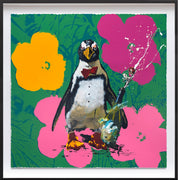 Robert Hilmersson - Dom Pénguinon Flower II