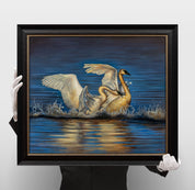 Jeanette Hennum - Survival of the Fittest