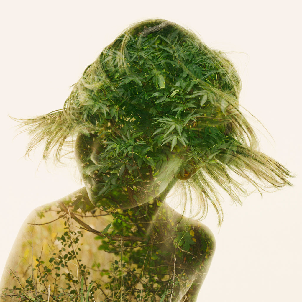 Christoffer Relander - Leaf Dance S