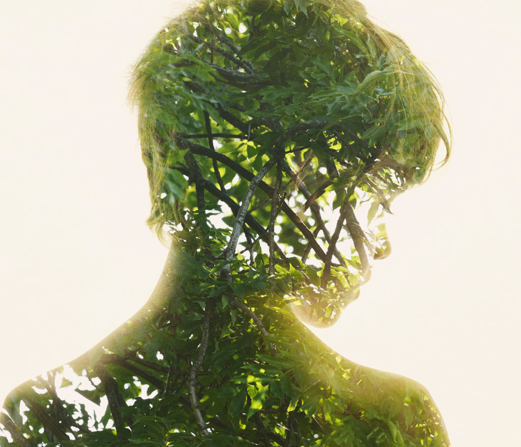 Christoffer Relander - Roots of the Spine S