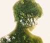 Christoffer Relander - Roots of the Spine small