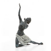 Gregory Poussier - The Light Catcher