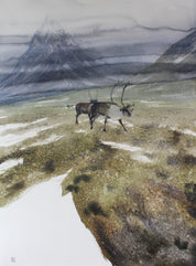 Christian Koivumaa - Sapmi