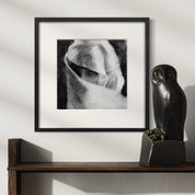 Victor Ajayi - Silent Witness