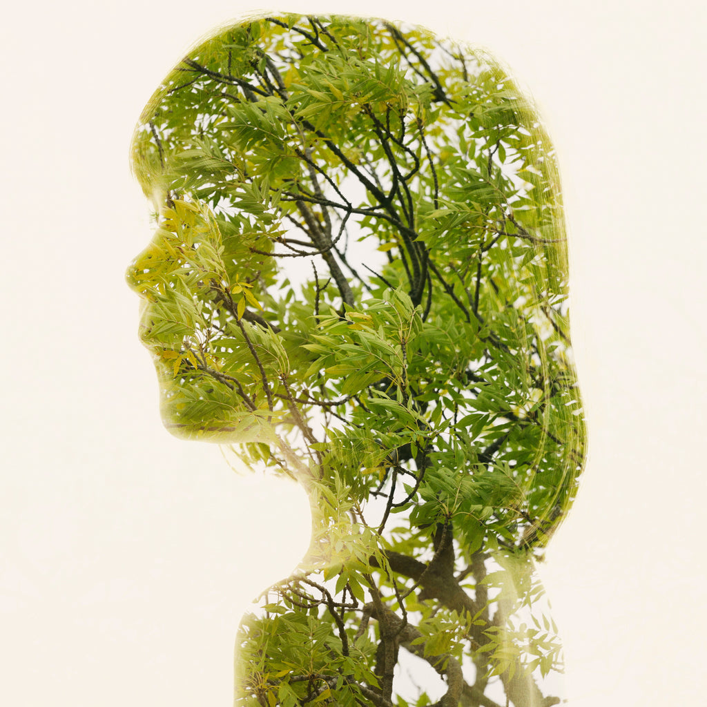 Christoffer Relander - Summer Green II