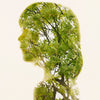 Christoffer Relander - Summer Green II small 