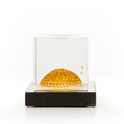 Bertil Vallien - Dome