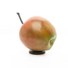 Lothar Vigelandzoon - Apple Small Coloured
