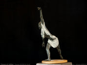 Gregory Poussier - The Weaver of Jacob's Ladders