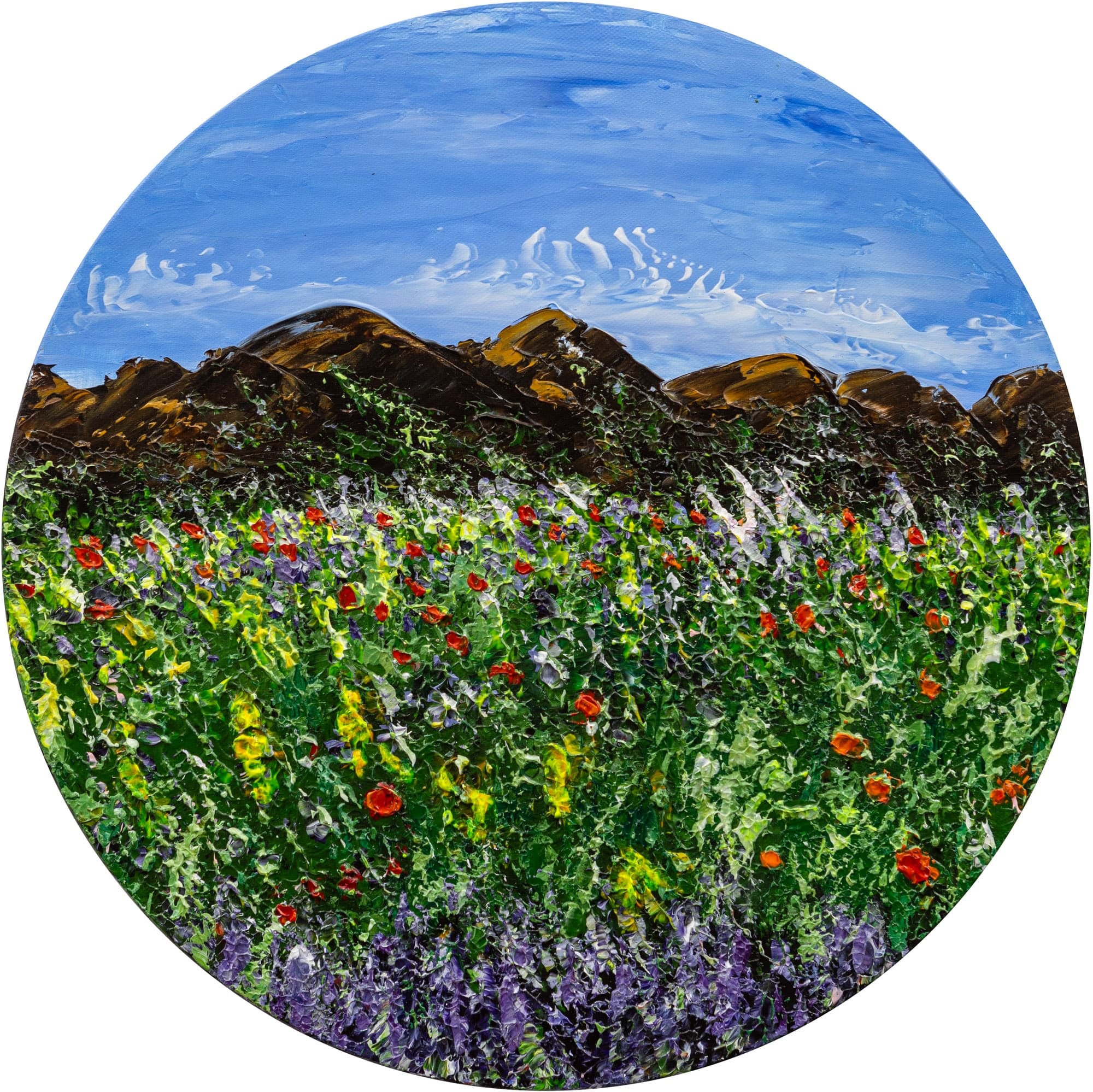 Helle Bang - The World of the Elk and Little Princess Cottongrass (Serie)