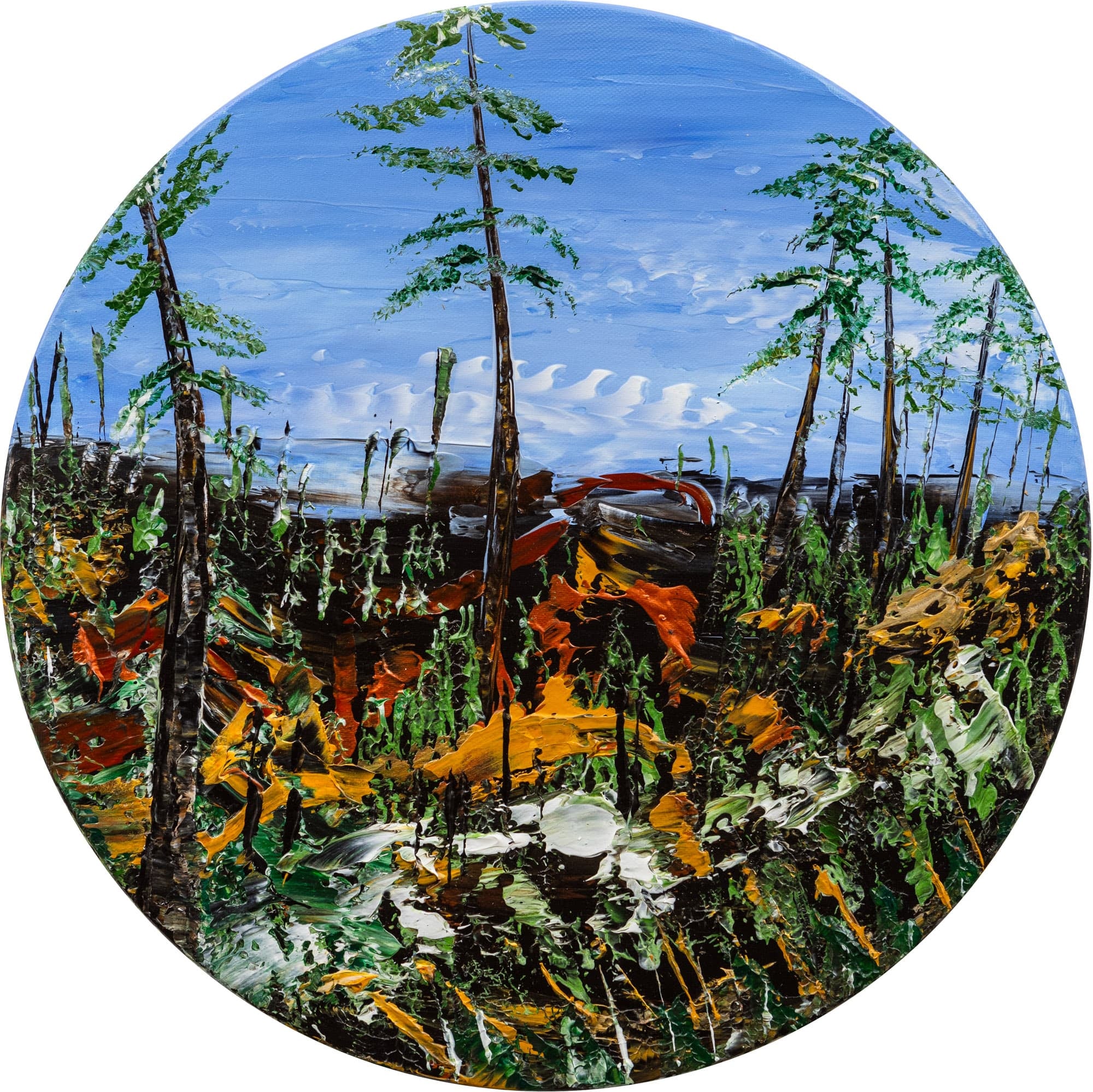 Helle Bang - The World of the Elk and Little Princess Cottongrass (Serie)