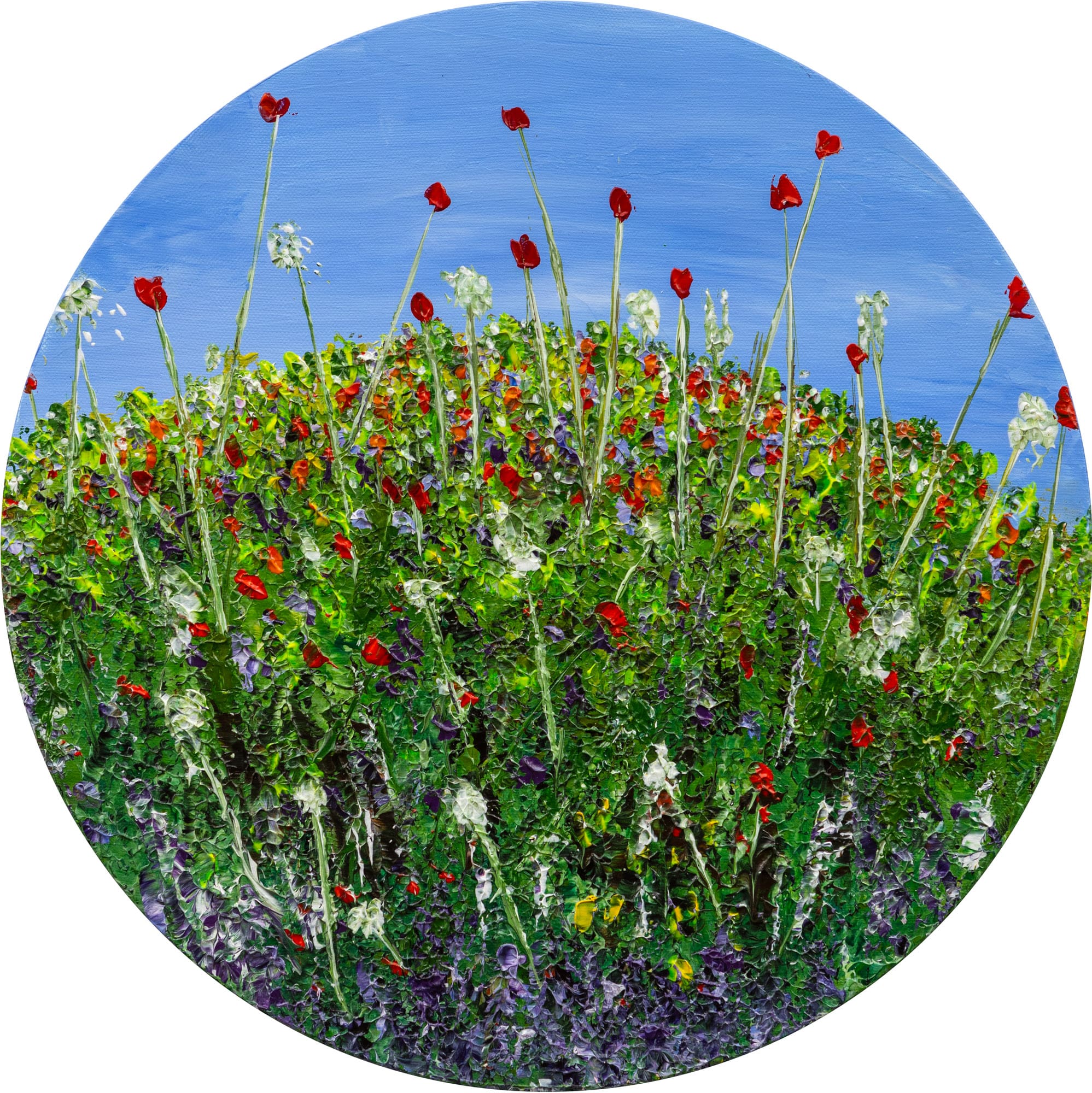 Helle Bang - The World of the Elk and Little Princess Cottongrass (Serie)