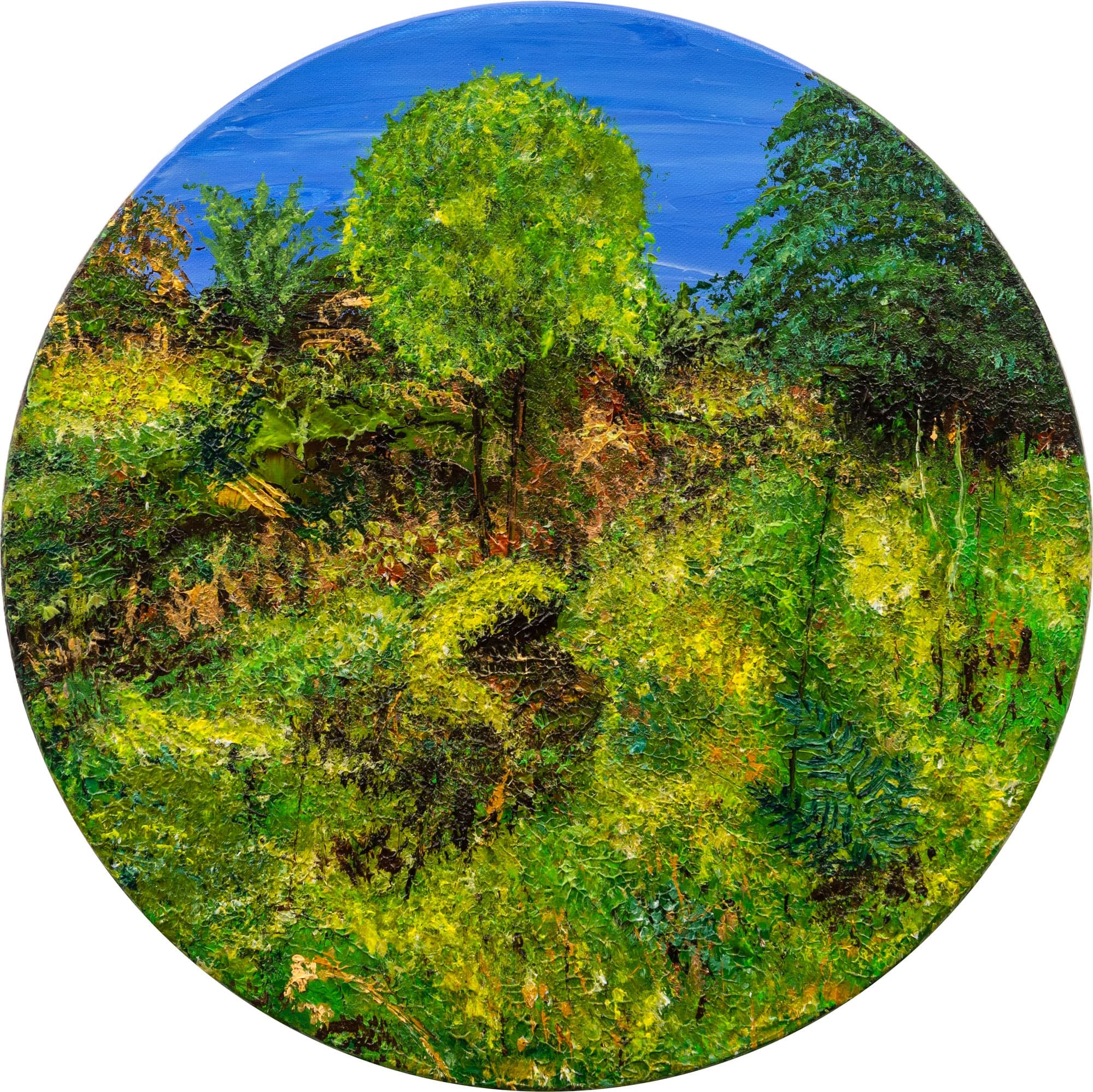 Helle Bang - The World of the Elk and Little Princess Cottongrass (Serie)