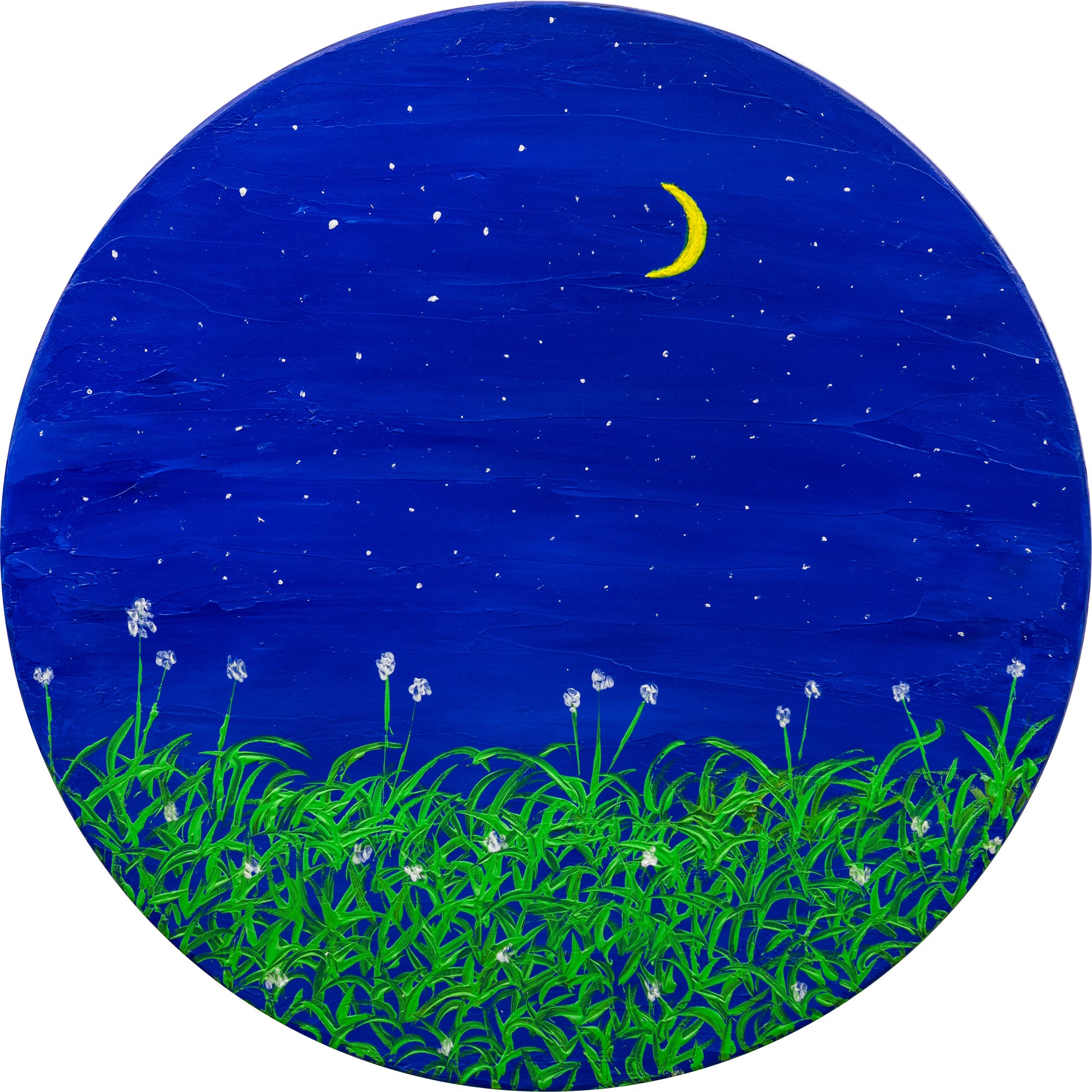 Helle Bang - The World of the Elk and Little Princess Cottongrass (Serie)