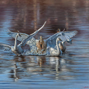 Jeanette Hennum - Power of Transformation