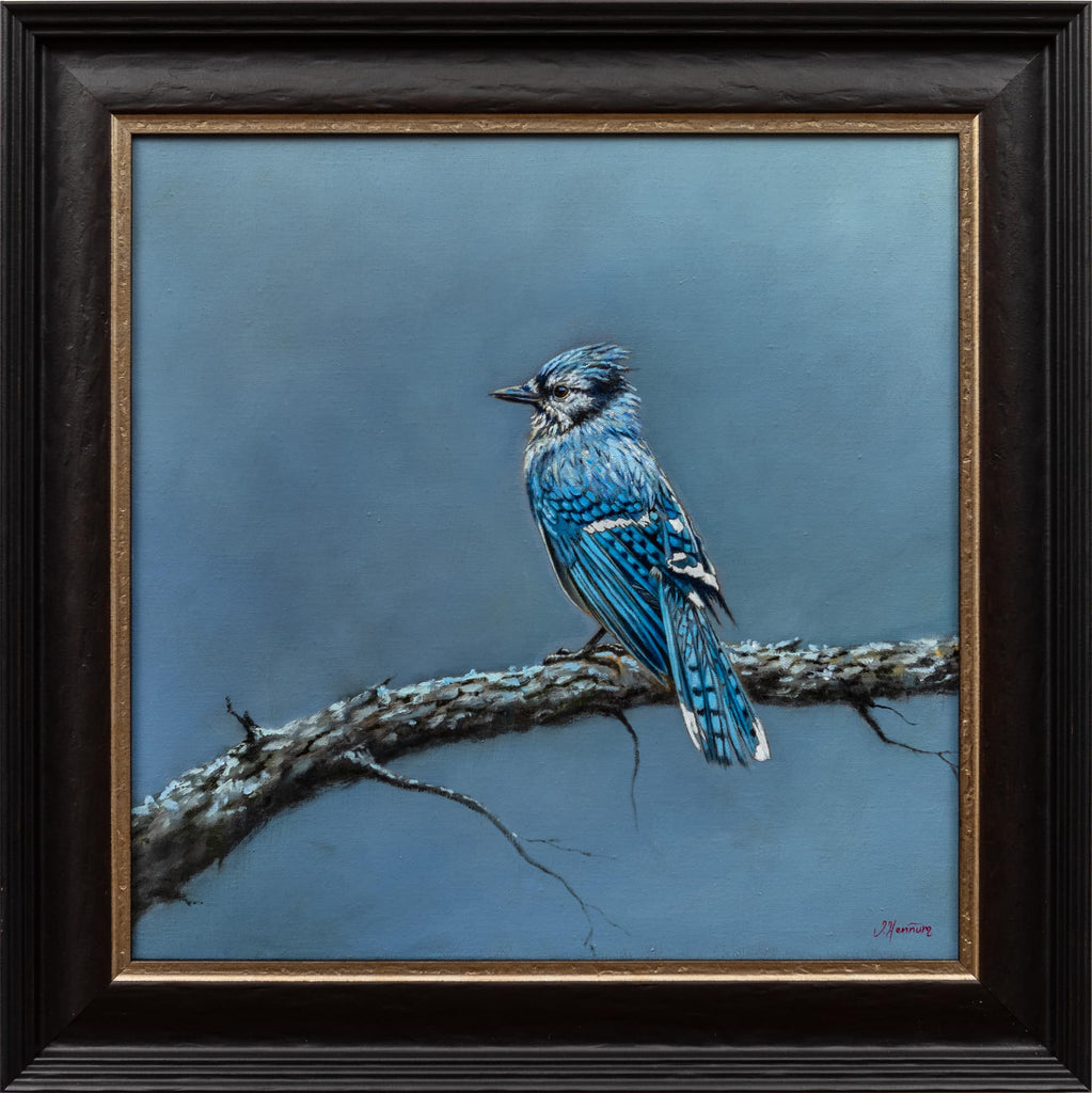 Jeanette Hennum - Shades of Blue Jay