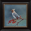 Jeanette Hennum - Bohemian Waxwing