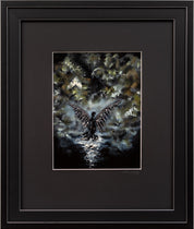 Urban Malm - Swarowski Angel