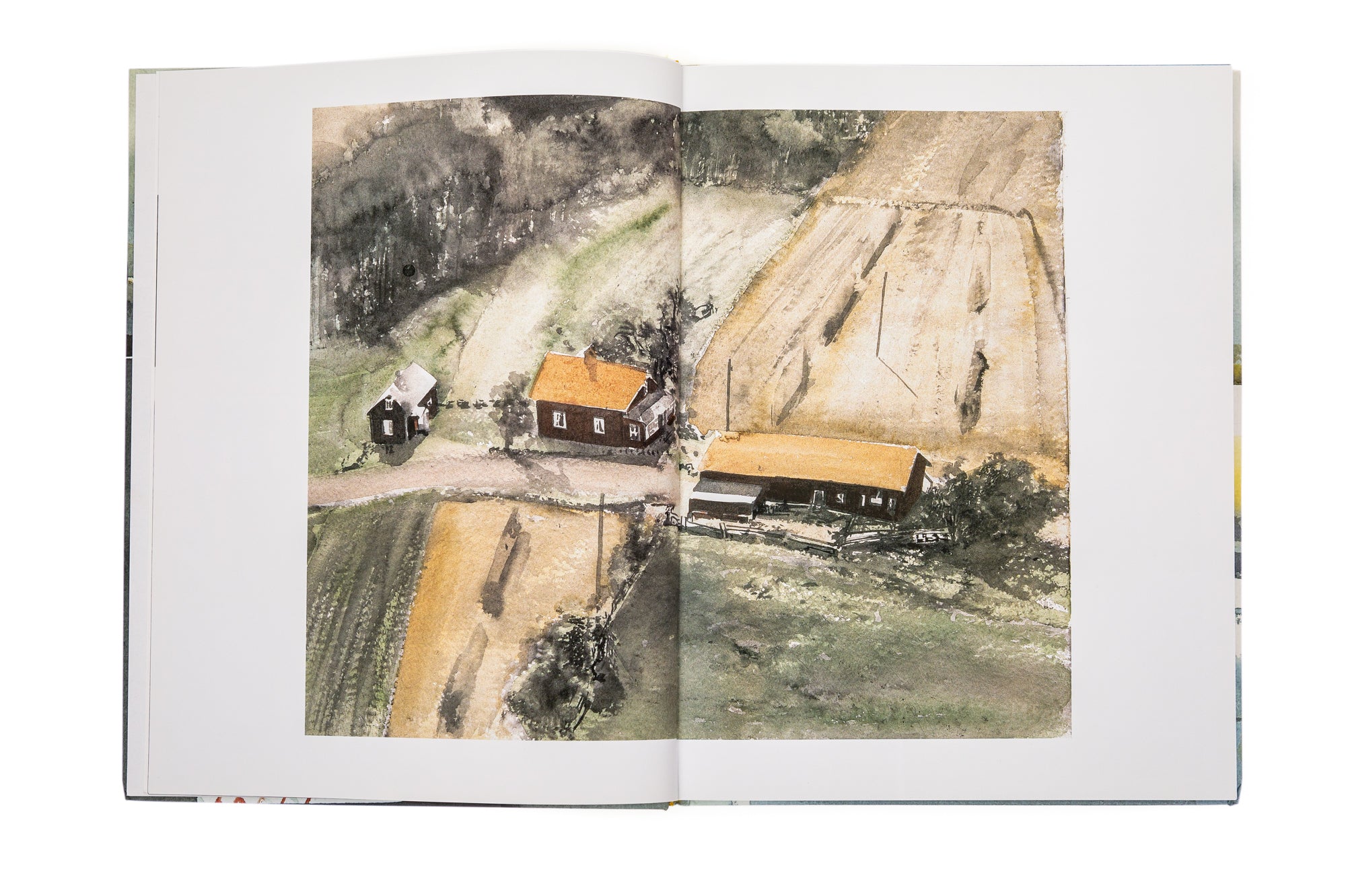 Lars Lerin - Lantbrev från Ovan