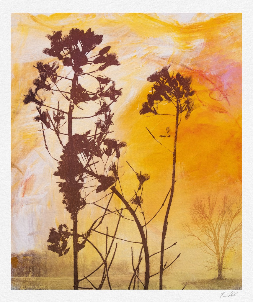 Berni Kalle - Soldis