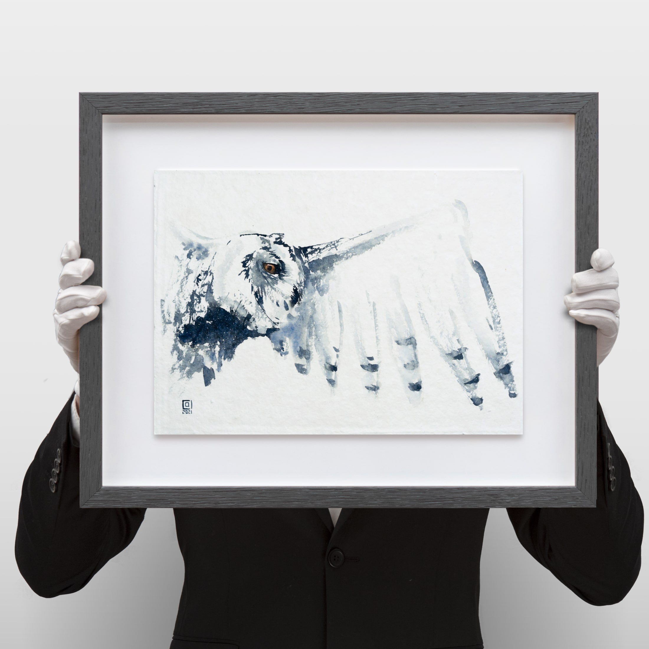 Christian Koivumaa - Fågelstudier