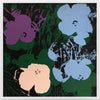 Andy Warhol - Flowers 11.64