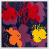 Andy Warhol - Flowers 11.66