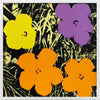 Andy Warhol - Flowers 11.67