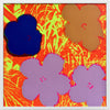 Andy Warhol - Flowers 11.69