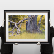 Nick Alm - In the Pasture