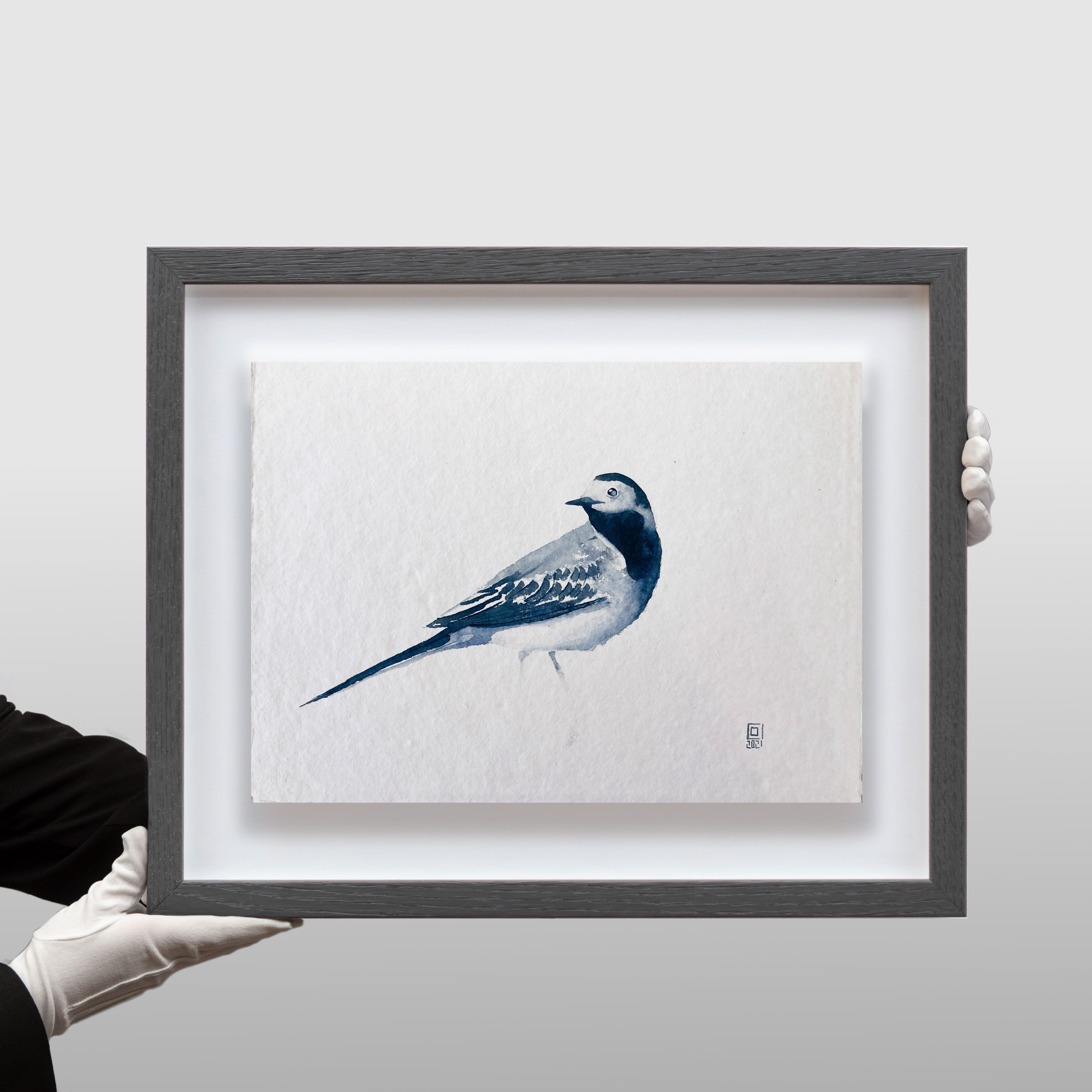 Christian Koivumaa - Fågelstudier