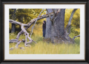 Nick Alm - In the Pasture