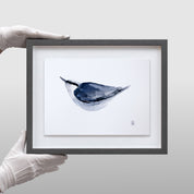 Christian Koivumaa - Fågelstudier