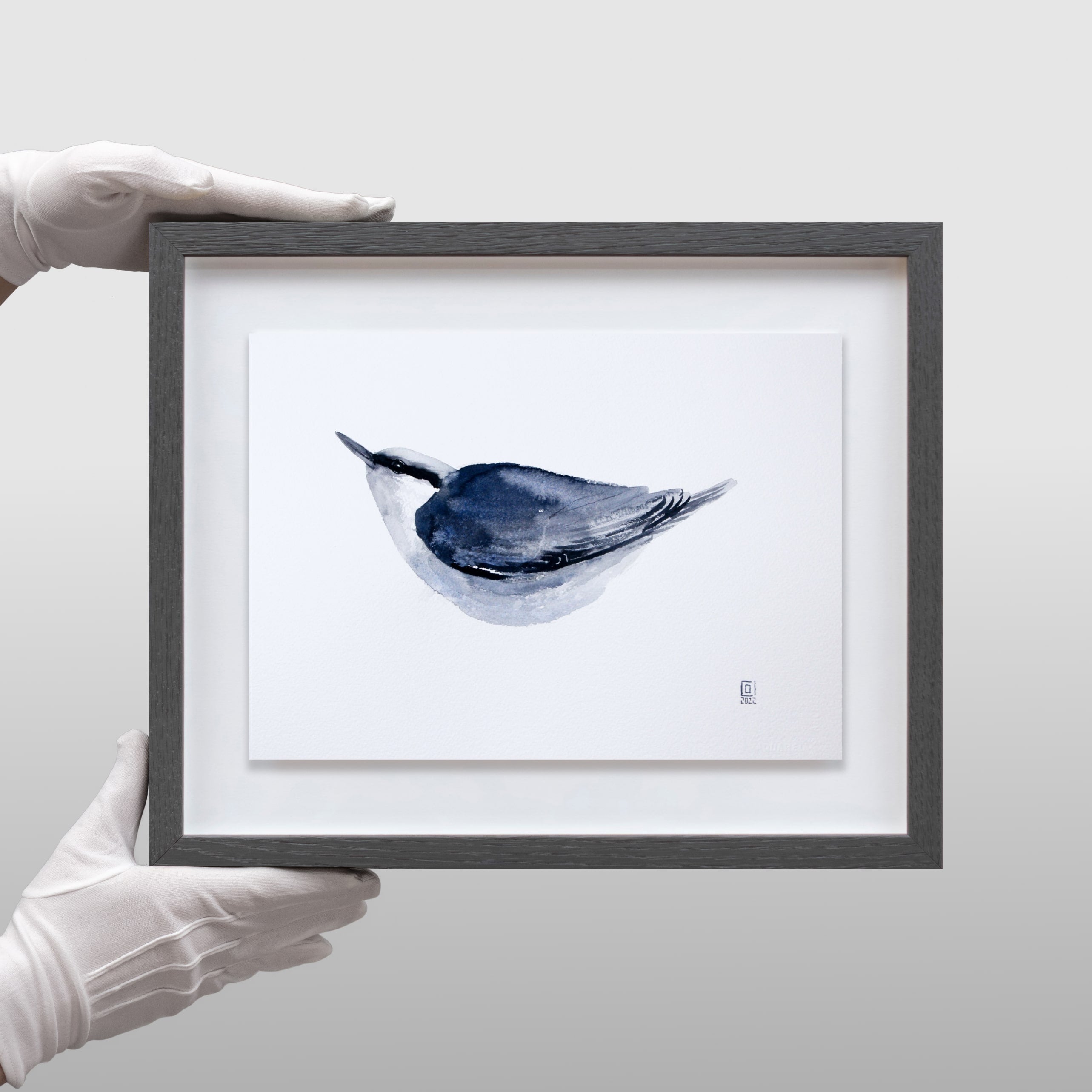 Christian Koivumaa - Fågelstudier