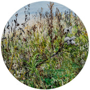 Helle Bang - Vild Fauna XII