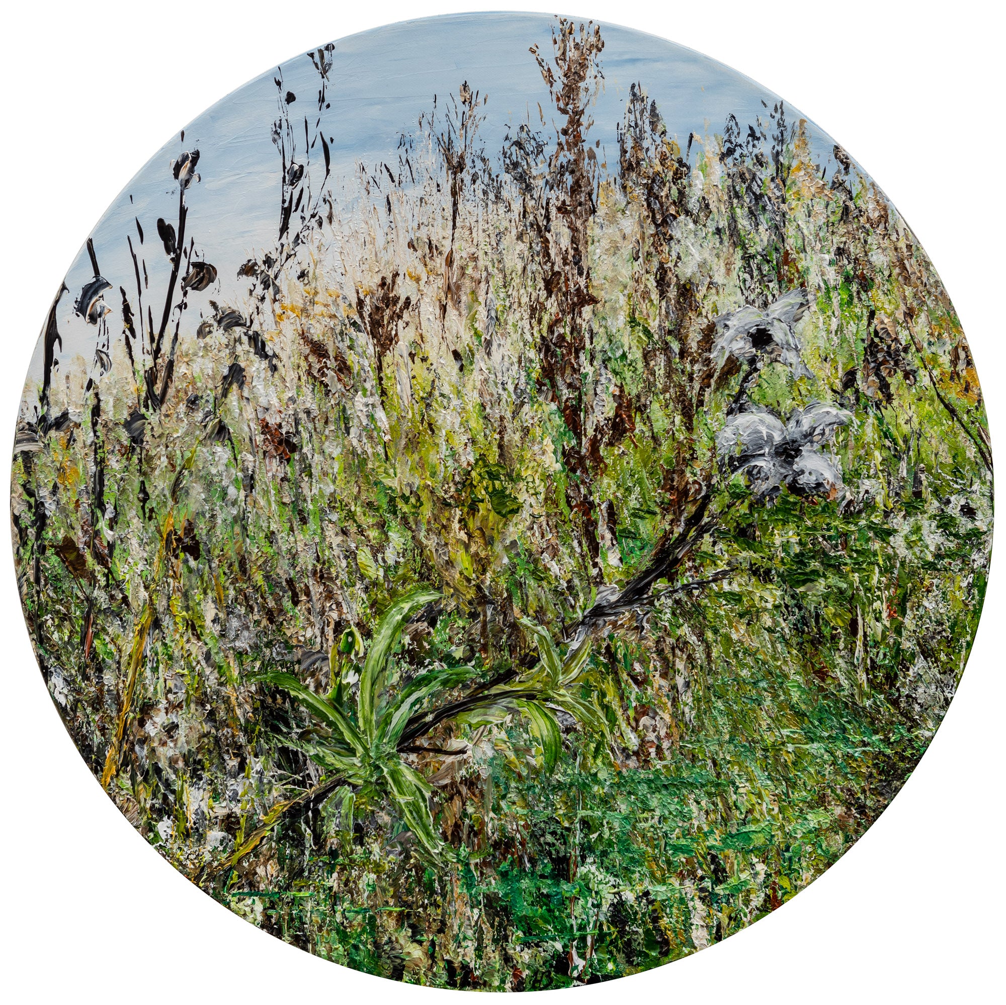 Helle Bang - Vild Fauna XII